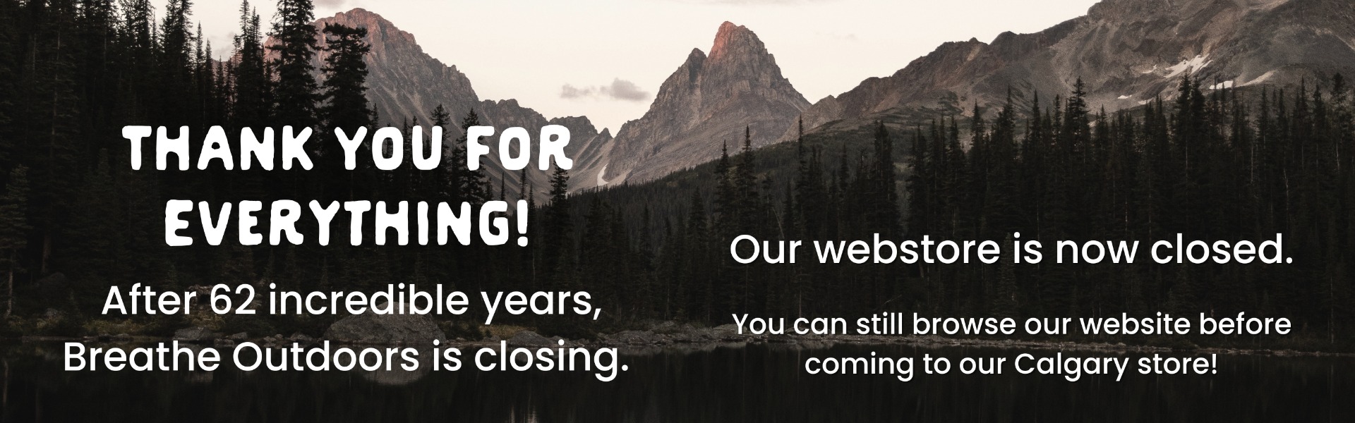 Thank you for everything! Our webstore is now closed.