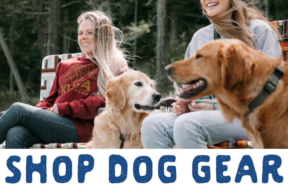 Shop New Arrivals Dog Gear