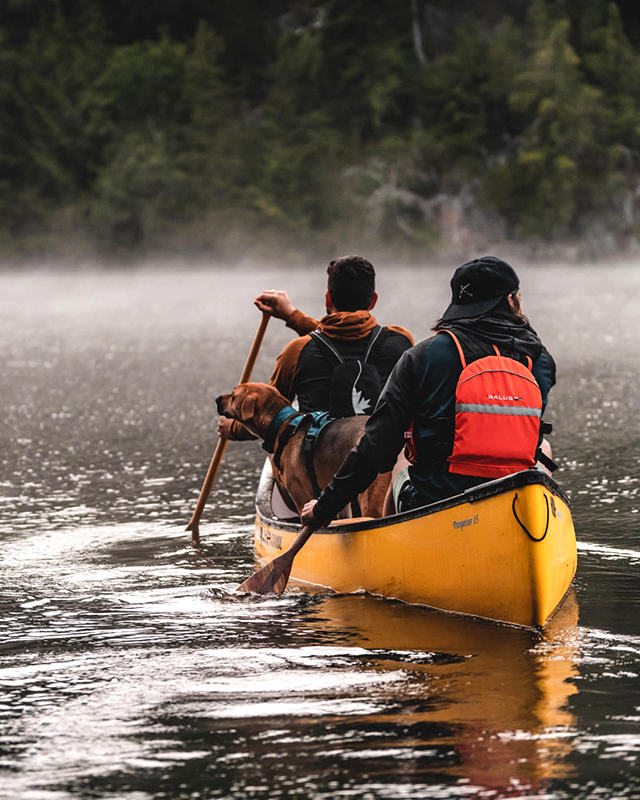Two people and a dog paddling a canoe on a foggy lake.