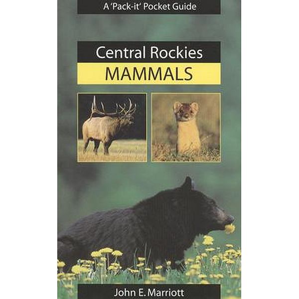 Central Rockies Mammals