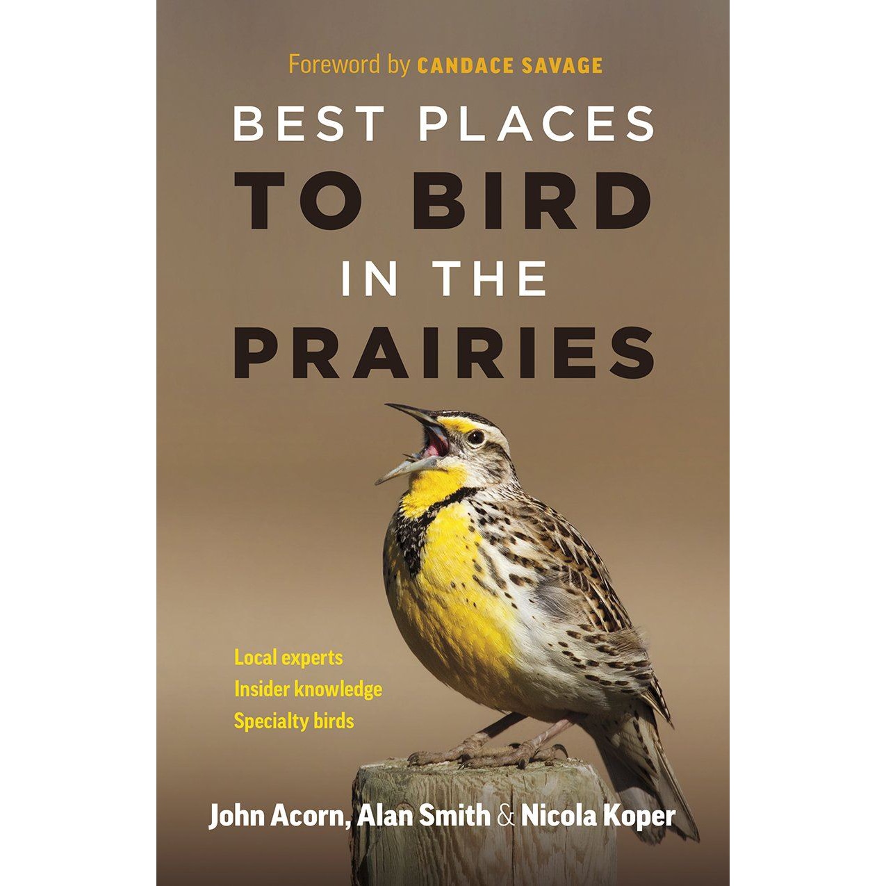 Best Birding In The Prairies