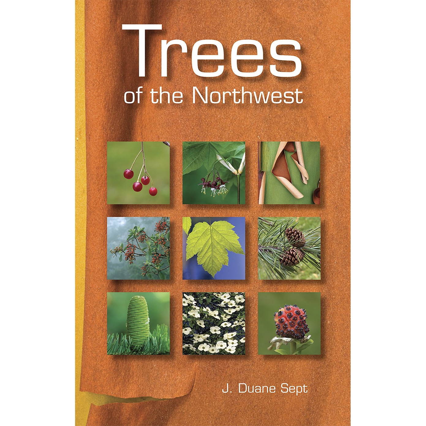 Trees of the Northwest