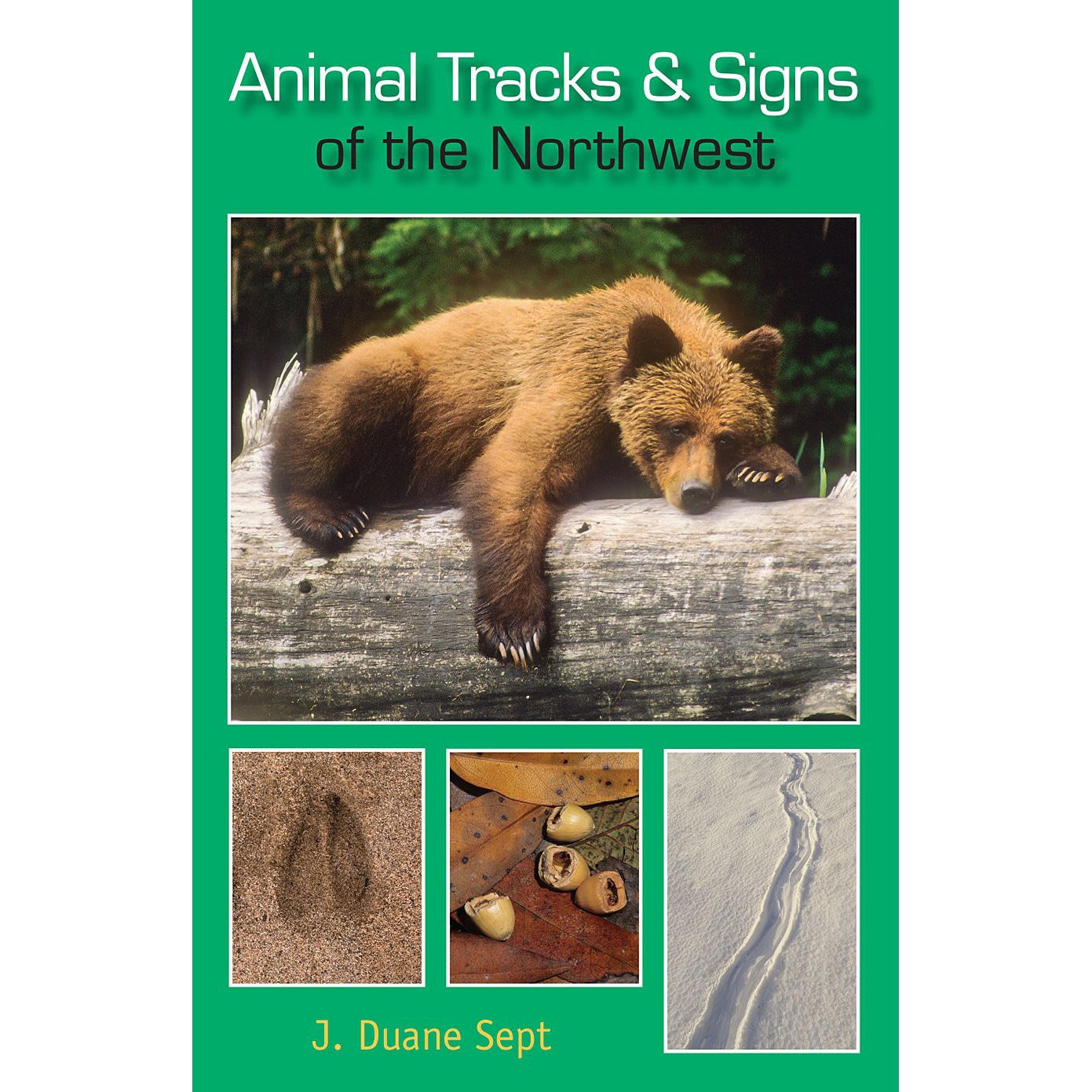 Animal Tracks and Signs