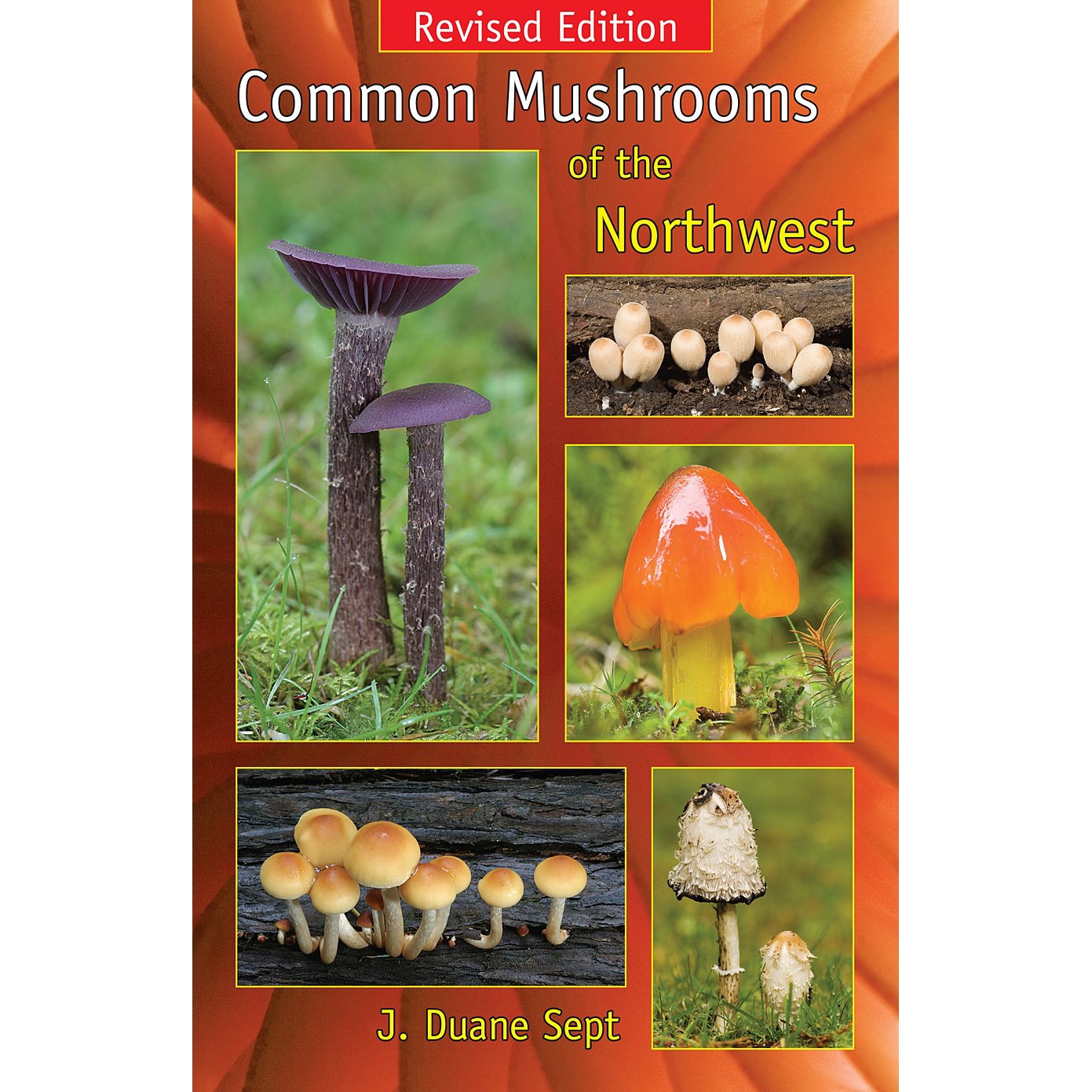 Common Mushrooms of the Northwest