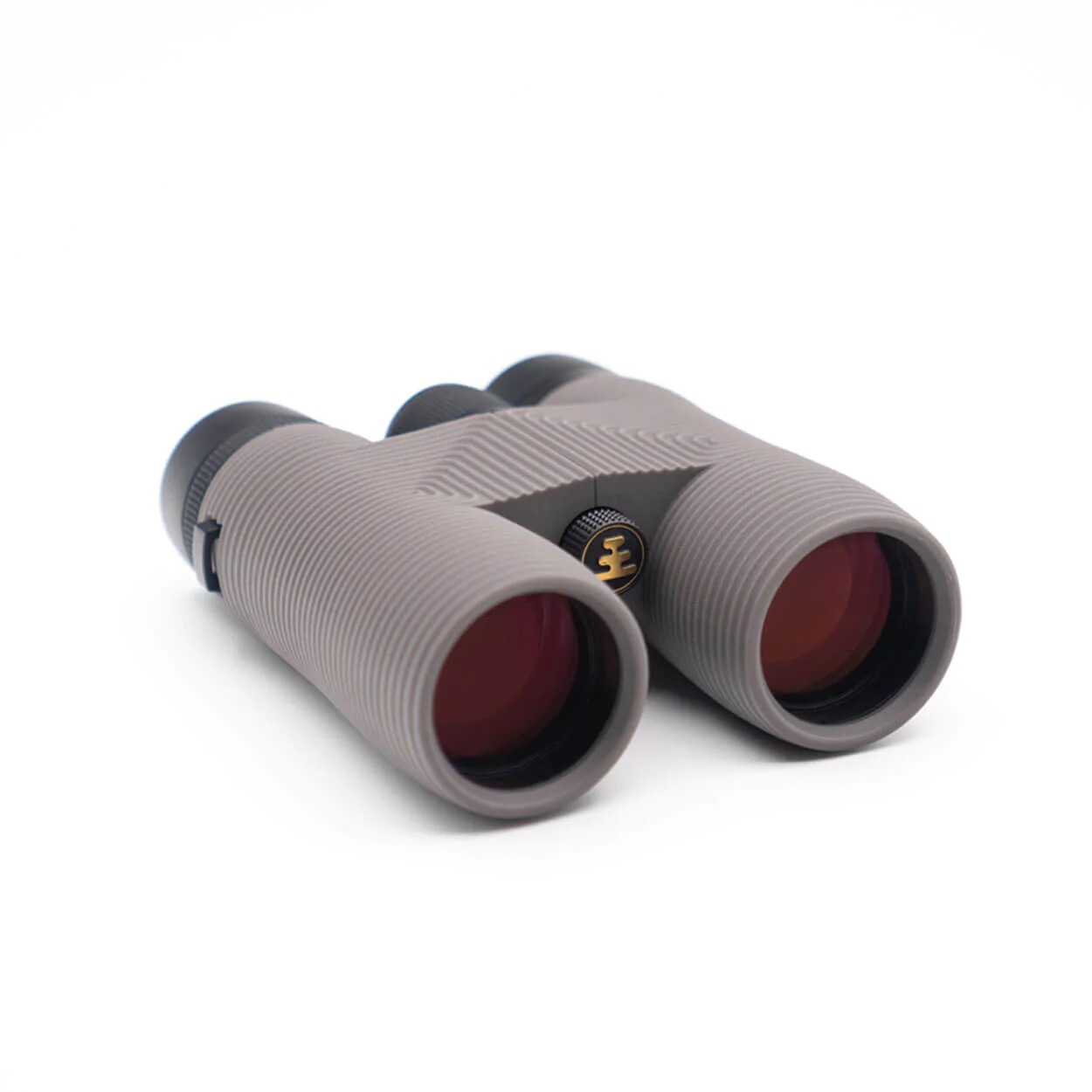 Pro Issue 10x42 Binoculars
